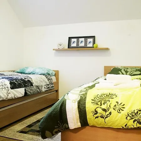 Apartma Pegaz 公寓 罗加斯卡斯拉提纳