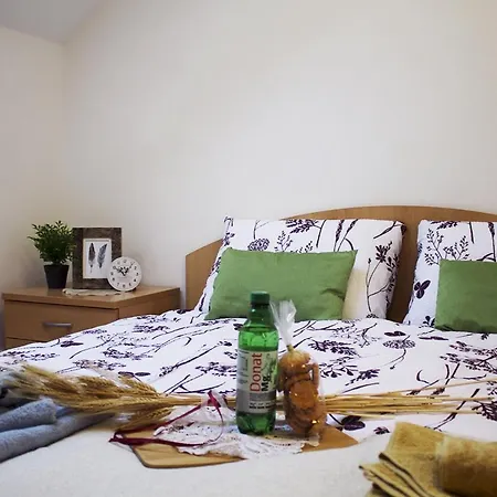 Apartma Pegaz